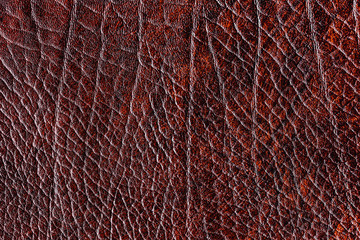 Brown leather background