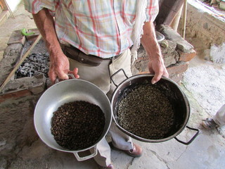 coffee plantation trails Salento , Colombian , Quindío