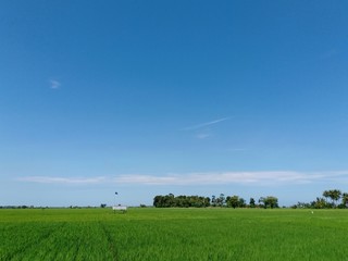 blue sky visible during the daytime