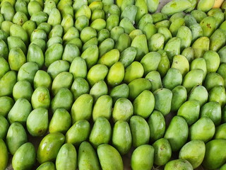 Many raw mangoes collected from the garden are arranged in a community store to sell to customers. Raw mangoes have a green color, have a sour taste - ripe mangoes have a yellow, sweet taste.
