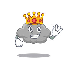 A Wise King of grey cloud mascot design style