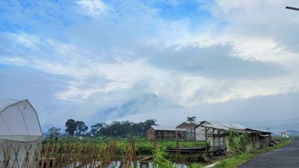 house on the village  in central java in the morning