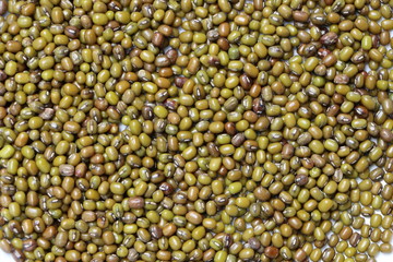 Green gram or mung beans in white plate 