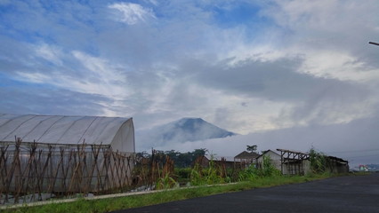 barn in the countryside with fog and mountain background