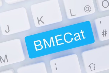 BMECat. Computer Tastatur von oben zeigt Taste mit Wort hervorgehoben. Software, Internet, Programm
