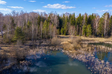 A small forest lake with last year's dry reed on a spring day.