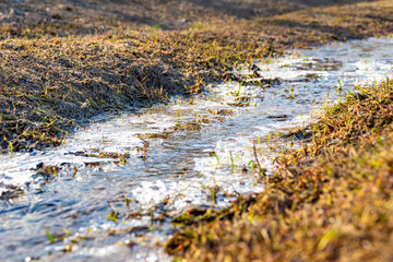 spring creek covered with thin ice in the sun, selective focus
