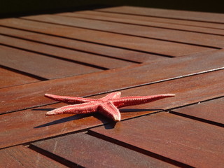 A starfish on a wooden table