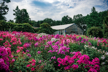 Orangery in the garden among the flowers