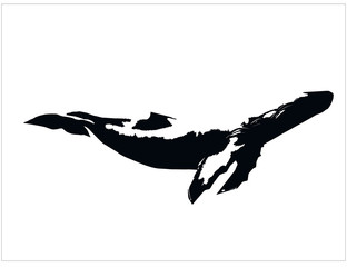 Silhouette of a whale Isolated on a white background