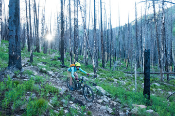 Obraz premium A mountain biker at Baker lake. Ketchum, Idaho.