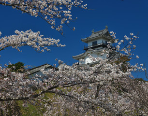 Naklejka premium 掛川城