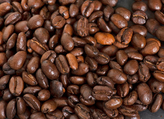 coffee beans in studio