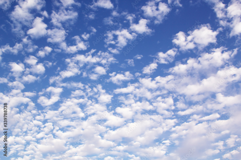 Wall mural blue sky with clouds background.