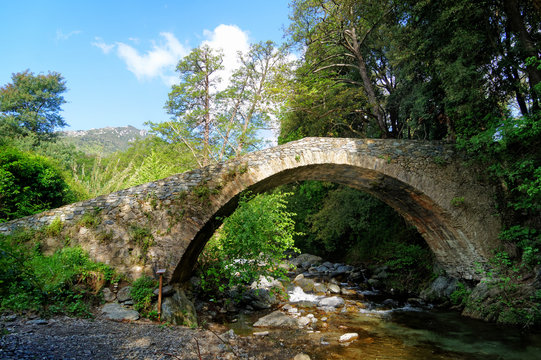 Genoese bridge on Buccatoggio river in Upper Corsica mountain