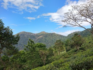 Obraz premium mountain landscape with blue sky
