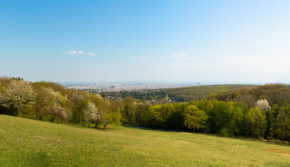 Vienna Sievering recreation area with beautiful view to the city.