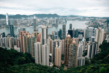 Fototapeta premium Hong Kong City landscape 