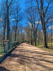 Fototapeta na wymiar A park in Nesvizh, Belarus