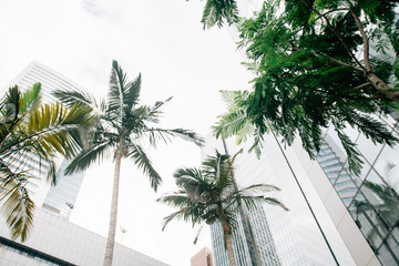 Hong Kong City landscape 