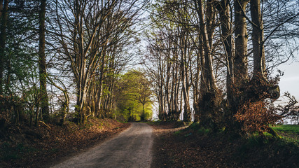 Au détour d'une ballade de fin de journée printanière