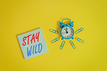 Conceptual hand writing showing Stay Wild. Concept meaning keep being you and doing what you re...