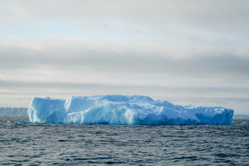 Iceberg floating 