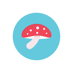champignon