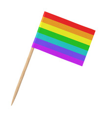 Small paper rainbow flag on wooden stick