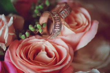 Luxury stylish gold wedding rings on pink roses heads. Close-up shot