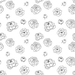 Graphic flowers coloring book,  Seamless Pattern