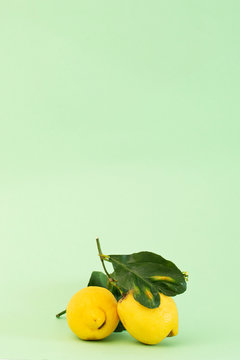 lemon and myn color