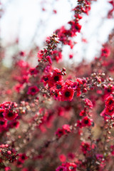 Spring time