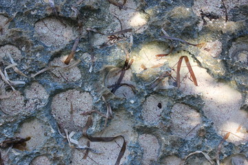 Punta Cana, Dominikana