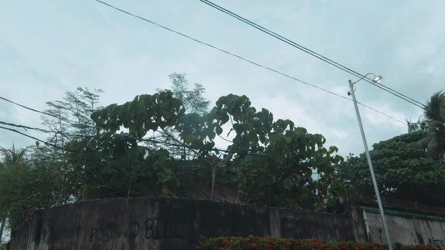Plants outgrew wall on a quiet suburbs in Cadiz City, Negros Occidental, Philippines.
