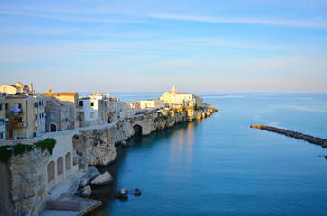 Fototapeta premium landscape in Vieste Italy