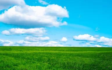 Selbstklebende Fototapeten Meadow field wheat hill with white clouds and blue sky, A beautiful summer landscape of the hills. © Miha Creative