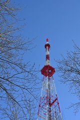 TV tower with tree branches in the foreground