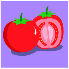 Vector Tomato illustration on a purple background