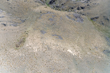 scant vegetation on mt. St.Cuthbert barren slopes, near Omarama, New Zealand