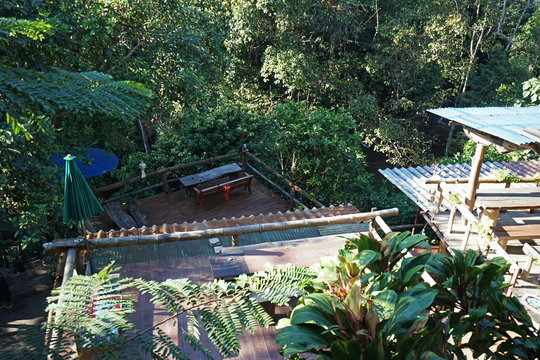 Wooden Balcony Terrace Architecture And Building Design Of Local Treehouse Among Green Jungle Park