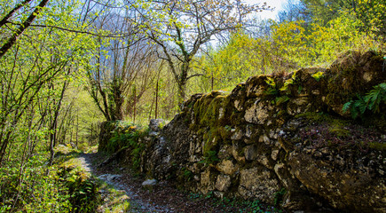 Breil sur Roya-Mercantour-Senteir Lavina