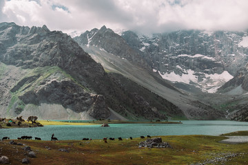 Tajikistan. Fann mountains. Summer. Beautiful mountain landscape. Natural livestock. Shepherd grazing sheep in a meadow on a background of beautiful nature