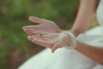 The hands of the bride hold red ladybug. Signs of destiny. Copy space