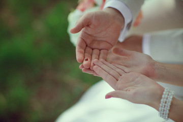 The hands of the bride and groom hold red ladybug. Signs of destiny. Copy space
