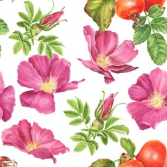 Watercolor dog rose with green leaves and berries seamless pattern, hand drawn botanical repeating background.