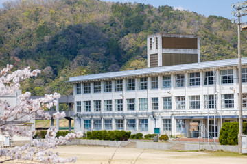 学校と桜の花　春　入学式　新学期