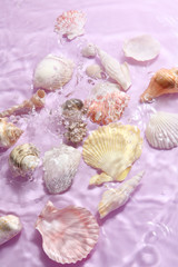 Group of shells and water on pastel background