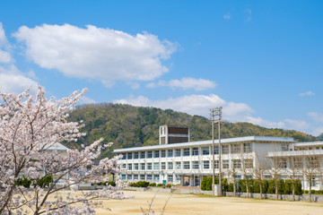 学校と桜の花　春　入学式　新学期