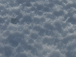 
traces of raindrops on spring snow